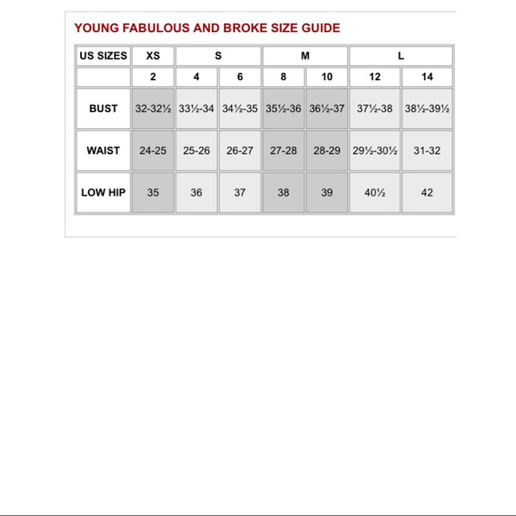 YOUNG FABULOUS & BROKE MINI DRESS - Picture 3 of 5